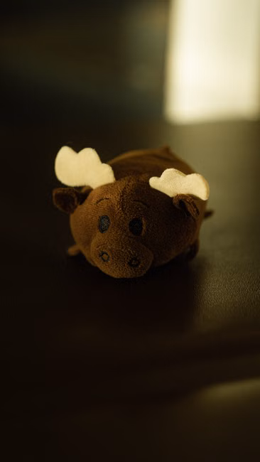 Pelúcia com Apito